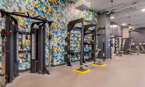 Apartment fitness center with cable machines, power rack, and colorful geometric wall